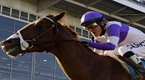 Watch ABC Good Morning America Health - Triple Crown: Can I'll Have Another Make History? Online