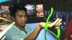 Watch Beast Legends - Bonus Scene: Francis Handles a Poisonous Snake Online