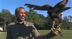 Watch Beast Legends - Bonus Scene: Scott Launches a Bird Online