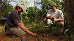 Watch Big Cat Week - Shadow Cat Traps Online