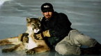 Watch Big Cat Week - Adorably Dangerous Online