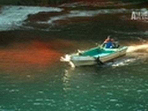 Watch Blood Dolphins - Blood Dolphins- Exposing Dolphin Slaughter Online
