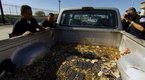 Watch Border Wars - Truckload of Ammo Online