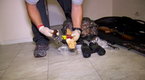Watch Border Wars - Stash House Bust Online