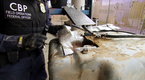 Watch Border Wars - Gas Tank Stash Online