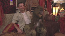Watch Brand X with Russell Brand - Monkey See, Monkey Goo? Online
