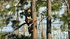 Watch Chasing UFOs - Ryder Scales a Tree Online