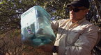 Watch Dangerous Encounters - Cobra in a Cooler Online