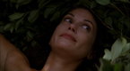 Watch Desperate Housewives - Fans Favorite Show Moments! Online