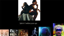 Watch FORA.tv Science - Zeray Alemseged: Human Evolution Hasn't Been Perfect Online