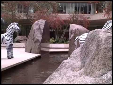 Watch Great Migrations - Zebra Migration Spoof Online