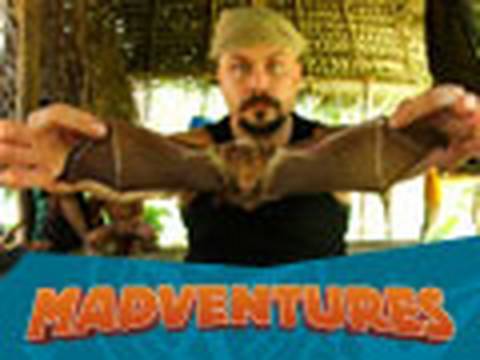 Watch Madventures - Madventures - Fall TV Preview Online