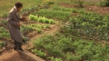 Watch Milestones in Science & Engineering - Justus von Liebig  Agriculture Chemistry Online