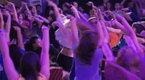 Watch Mobbed - Surprise Online