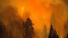 Watch NBC Nightly News with Brian Williams - California Fire Season 'Very Volatile' Online