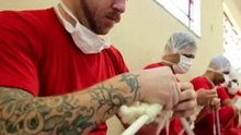 Watch NBC TODAY Show - Brazilian Prisoners Knit Their Way Out of Jail Online