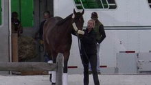Watch NBC TODAY Show - Previewing the 138th Preakness Stakes Online