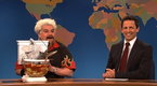 Watch Saturday Night Live - Weekend Update:Guy Fieri Online