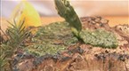 Watch Summer Kitchen - How-to Make Chimichurri Sauce Online