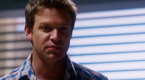 Watch The Glades - Not Cassandra Online