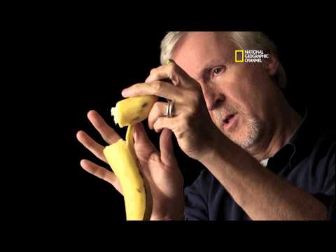 Watch Titanic 100 Years - Titanic 100 - The Banana Theory: Cameron On Camera Discussion Online