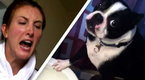 Watch Web Soup - Web Soup: Dog Vomits In Toilet, Gets Hassled By Wife Online