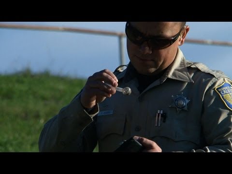 Watch Wild Justice - Wild Justice - Valentine's Day Meth Online