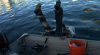 Watch Wild Justice - Drunken Lobstering Online