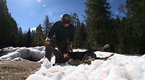 Watch Wild Justice - Out of Season Doe Online