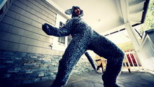 Watch Wilfred - Scratch Online