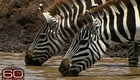 60 Minutes Season 42 Episode 250