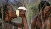 Watch Africa Season 13 Episode 4 -  San Tunes: The Dance Festival in the Kalahari Online