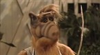 Alf Season 4 Episode 22