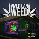 American Weed Season 1 Episode 1