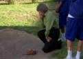 Watch Angry Boys Season 1 Episode 10 - Episode 10 Online