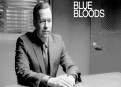 Watch Blue Bloods Season 3 Episode 22 - The Bitter End Online