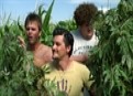 Watch Blue Mountain State Season 3 Episode 12 - Corn Field Part I Online