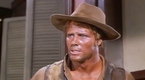 Watch Bonanza Season 2 Episode 14 - The Ape Online