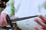 Cajun Pawn Stars Season 2 Episode 15