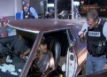 Watch Cops Season 25 Episode 14 - Coast to Coast 183 Online