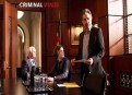 Watch Criminal Minds Season 8 Episode 19 - Pay It Forward Online