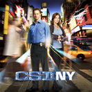 CSI: NY Season 8 Episode 1