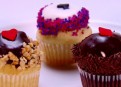 Cupcake Wars Season 3 Episode 11