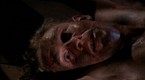 Watch Dark Knight Season 2 Episode 11 - Scorpion Online
