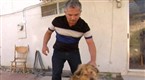 Dog Whisperer Season 1 Episode 1