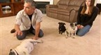 Dog Whisperer Season 5 Episode 17