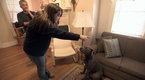 Dog Whisperer Season 9 Episode 5