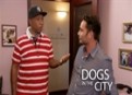Watch Dogs in the City Season 1 Episode 3 - Don't Give Me The Drool Online