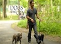 Watch Dogs in the City Season 1 Episode 4 - Someone Is Gonna Get Hurt Online