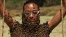 Watch Fear Factor Season 7 Episode 7 - The Bees Are So Angry  Online